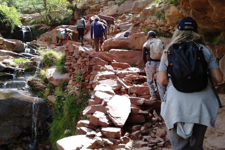 マラケシュ : オウリカ渓谷、アトラス山脈、滝ハイキング、ランチ