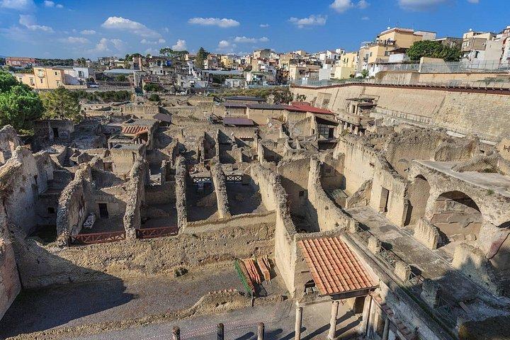 Private tour Pompei e Vesuvio from Napoli