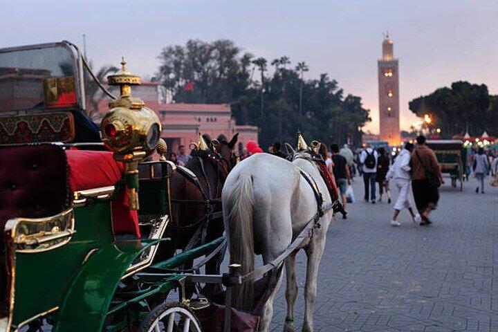 Marrakech 1 hour Horse Carriage Rides