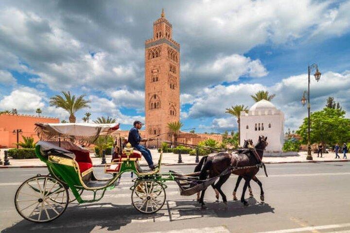 Marrakech 1 hour Horse Carriage Rides