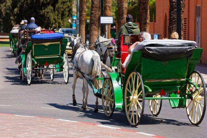 Marrakech 1 hour Horse Carriage Rides