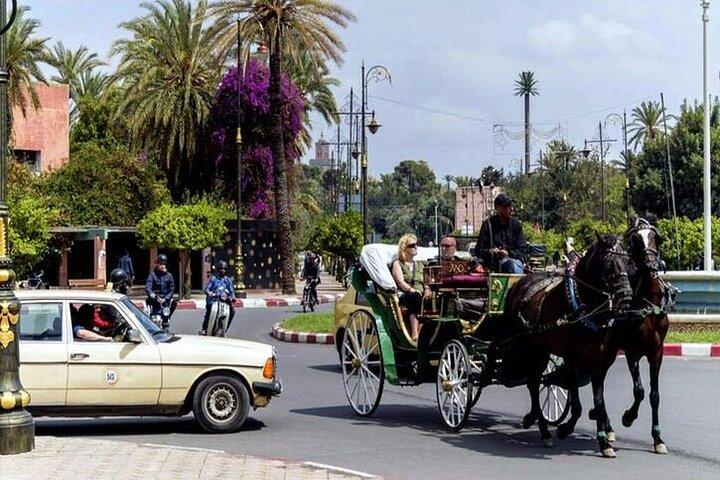 Marrakech 1 hour Horse Carriage Rides