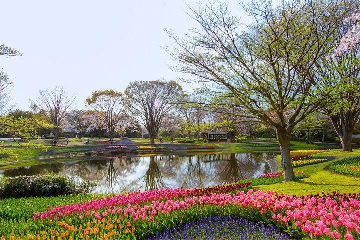 Tokyo Day Trip Showa Kinen Park Flores sazonais e caminhada pela natureza
