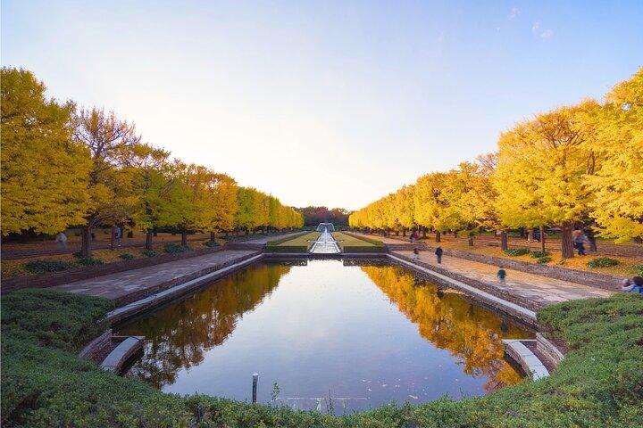 Tokyo Day Trip Showa Kinen Park Flores sazonais e caminhada pela natureza