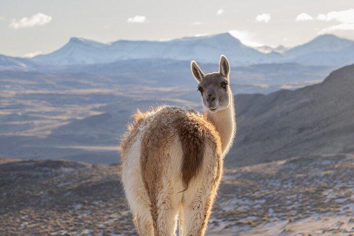 Exploração fotográfica em Torres del Paine