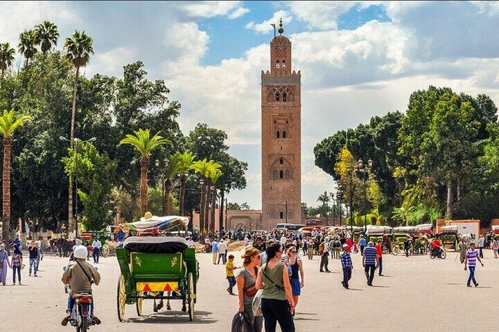 Half-day tour in Marrakech: Bahia Palace, Medina, and Medersa