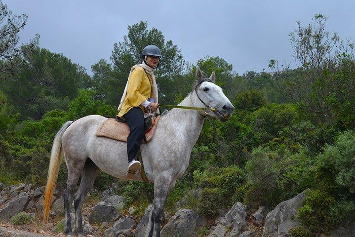 Scenic Horse Riding Tours in Fethiye and Ölüdeniz