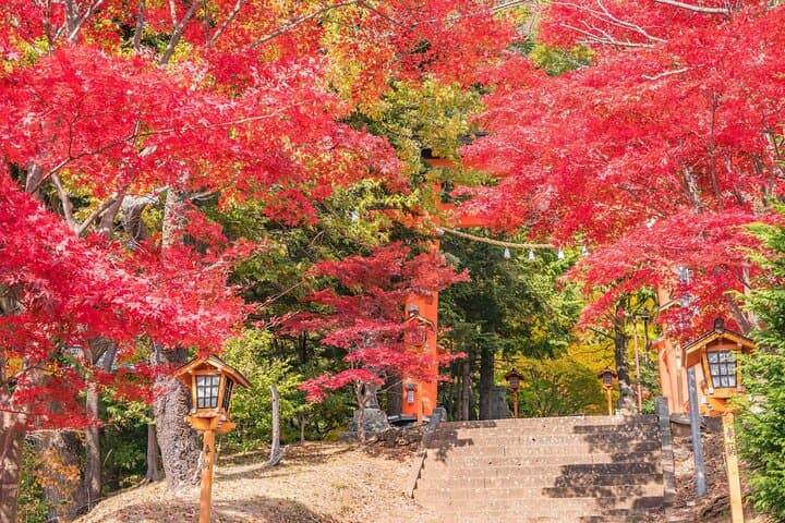 Mt. Fuji Famous Instagram Park Oshino Hakkai & Oishi Park Trip