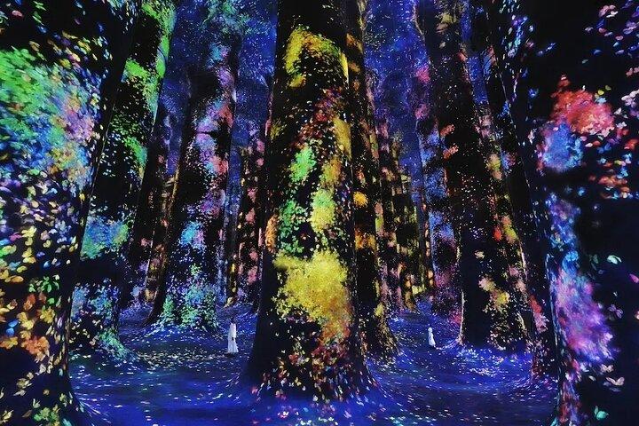 Teamlab Phénomènes Abu Dhabi Billets