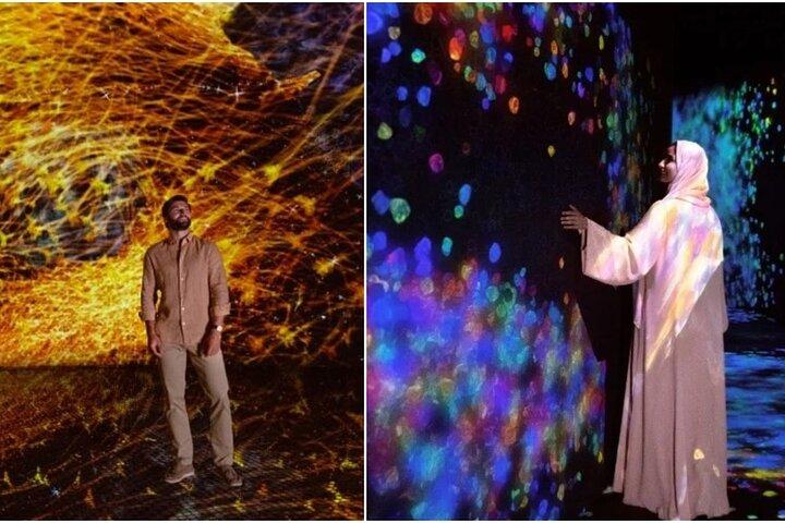 Teamlab Phénomènes Abu Dhabi Billets