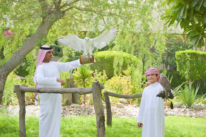 Sheikh Zayed Mosque e Falcon Hospital Tour ad Abu Dhabi