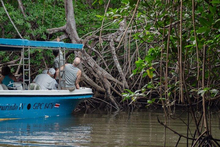 Excursion en bateau dans l'estuaire de Tamarindo