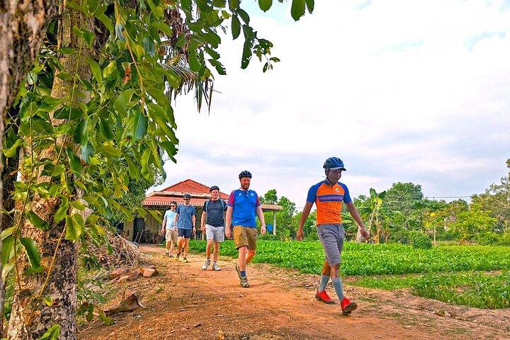 Fahrrad der Landschaft in Siem Reap Halbtagsmorgen