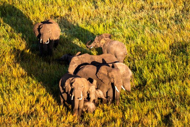 Serengeti Heißluftballonflug mit Champagnerfrühstück