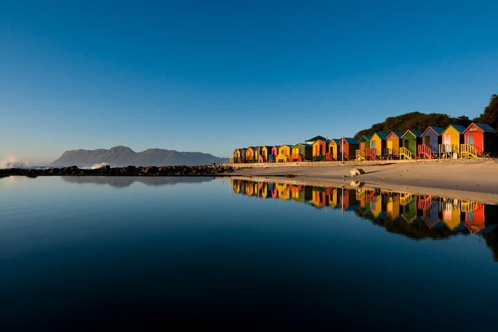 Table Mountain, Cape Point & Penguins Shared Tour incl. Park Fees