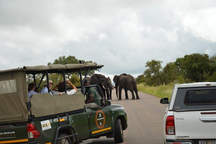 Pilanesberg Gedeelde Transfer en 3 uur Safari