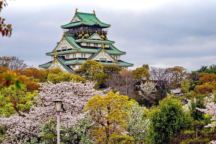 Osaka Halbtagestour mit einem Experten Ortskundiger Reiseleiter