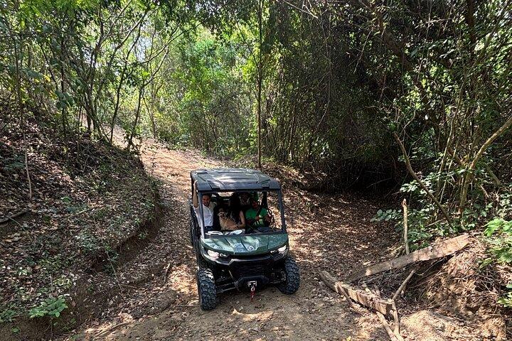 Safari UTV in una riserva naturale ricca di fauna selvatica vicino a Cartagena