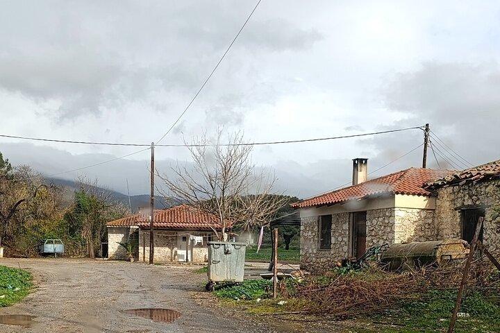 Gamle Nemea og vinsmagning fra Nafplio