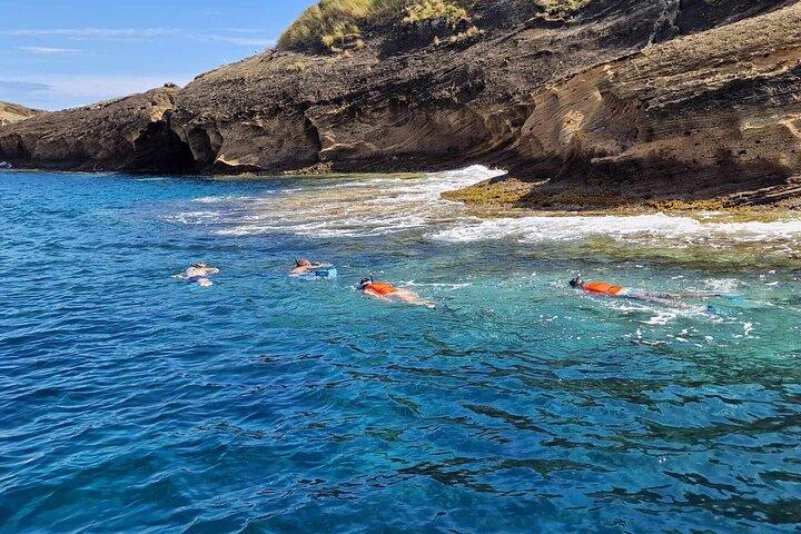Passeio de barco com fundo de vidro e mergulho com snorkel em São Miguel, Açores