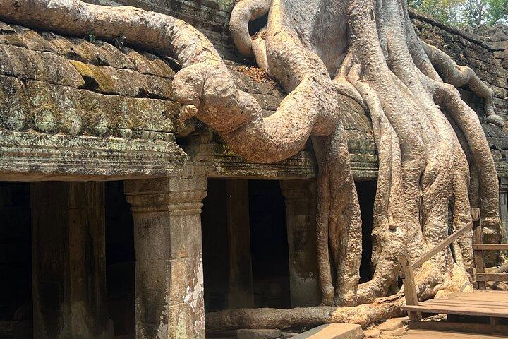 Tour de 3 días a Angkor Wat desde Bangkok