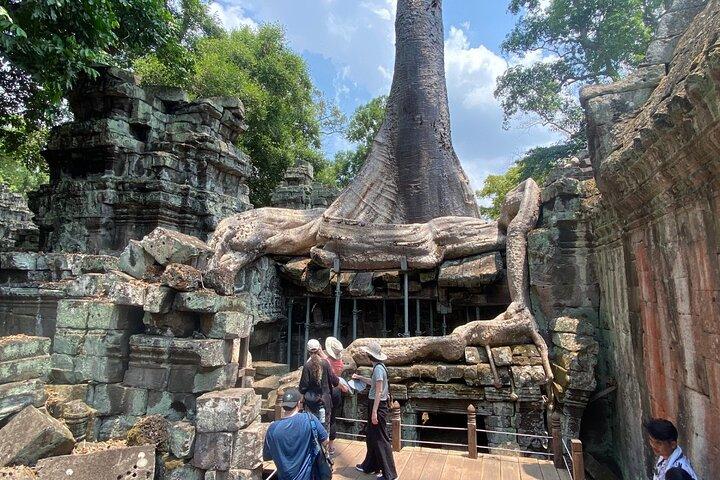 Hoteller i nærheden af Angkor Wat & Ta Prohm Hidden Wonders Tour