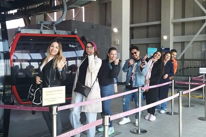 Tour privado de meio dia para cruzeiro Incheon & N Seoul Tower & city