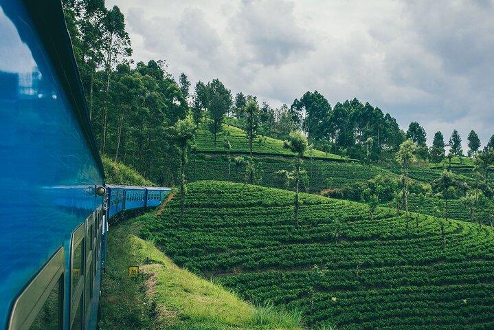 Billete de tren panorámico de primera clase desde Kandy a Ella