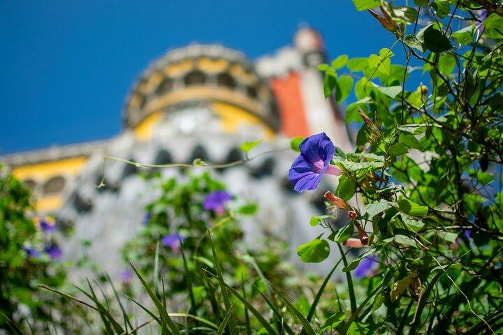Palácio e Parque de Sintra Pena Skip The Line