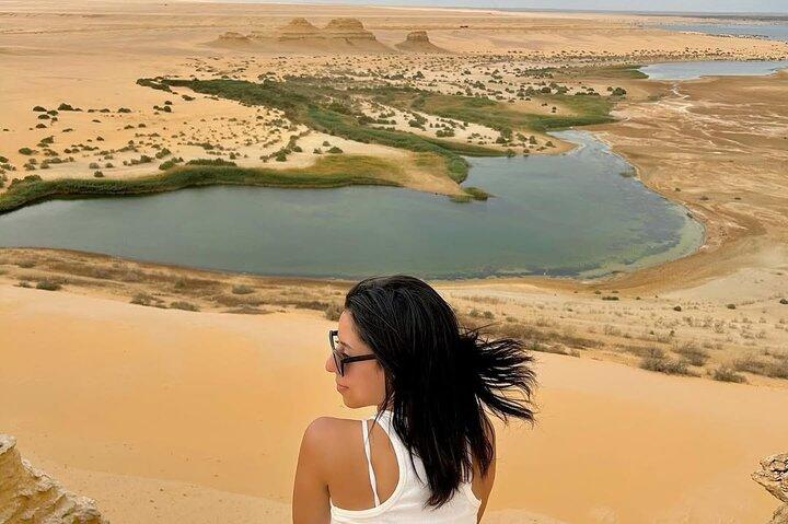 Fayoum Oasis Safari 4×4 Wadi El Rayan & Vallée des baleines