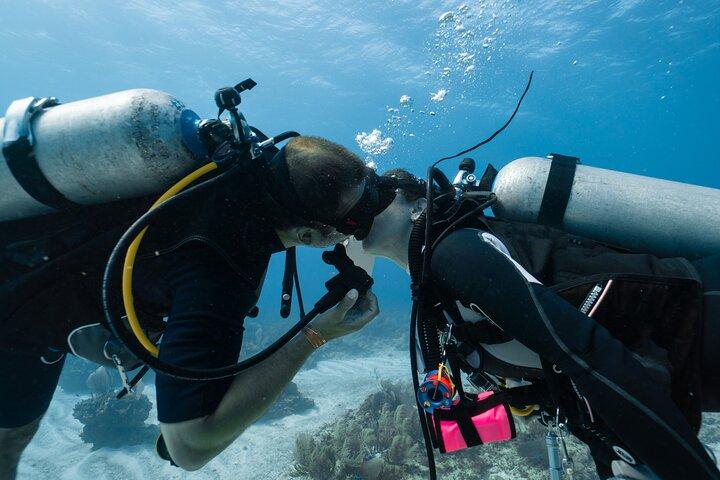 Side Scuba Diving para iniciantes com almoço e transferências