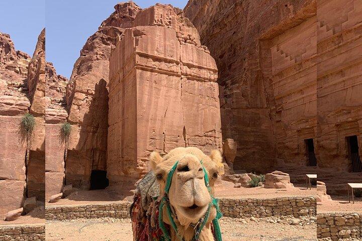 Due giorni a Petra e Wadi Rum VIP Bubble e avventura in jeep