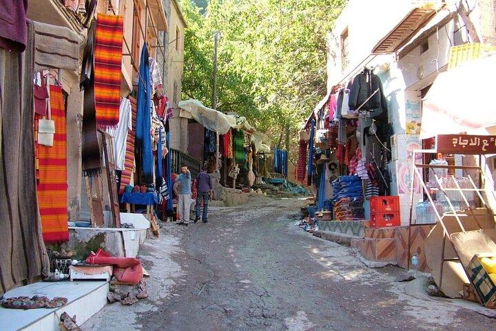 Marrakech: Ourika Valley Waterfalls and Berber Villages Day Trip