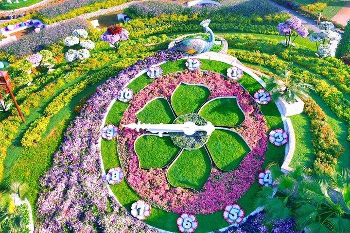Skip-the-line Ticket for Dubai Miracle Garden with Hotel Transfer