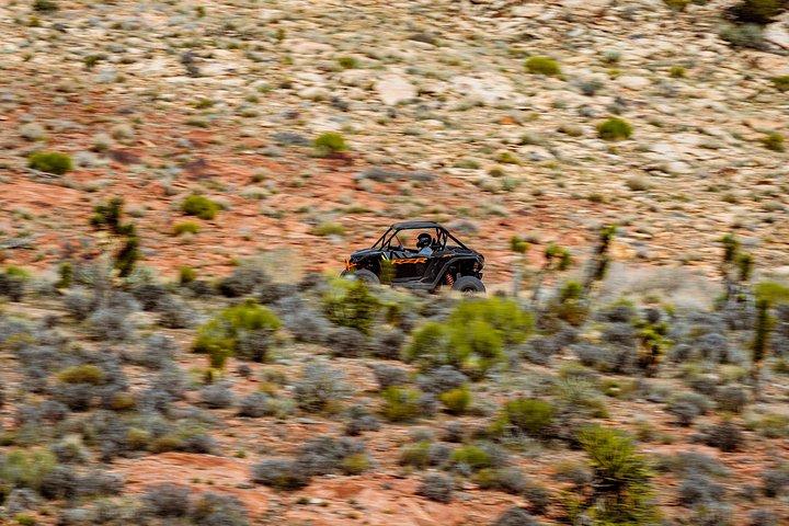 Las Vegas Mini Desert RZR Adventure
