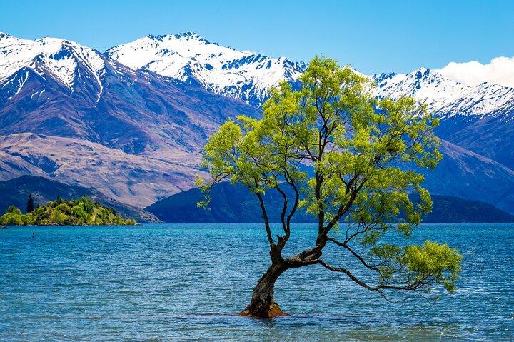 Wanaka Privé dagtrip vanuit Queenstown : TravelnGo