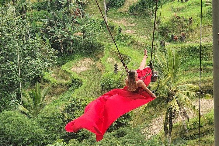 Ubud Highlights Customized Full-Day Private Tour