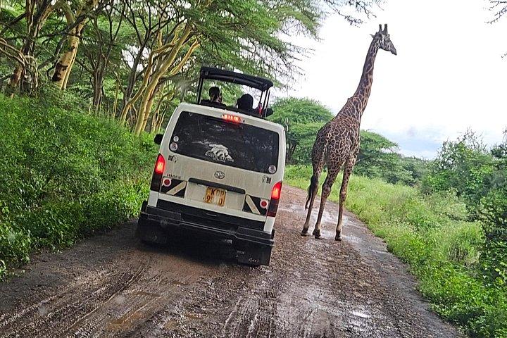 Nairobi National Park, Elephants Orphanage Private Tour