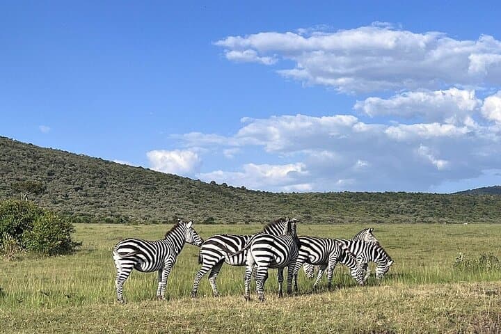 4 Days Maasai Mara Group Joining Safari in 4WD