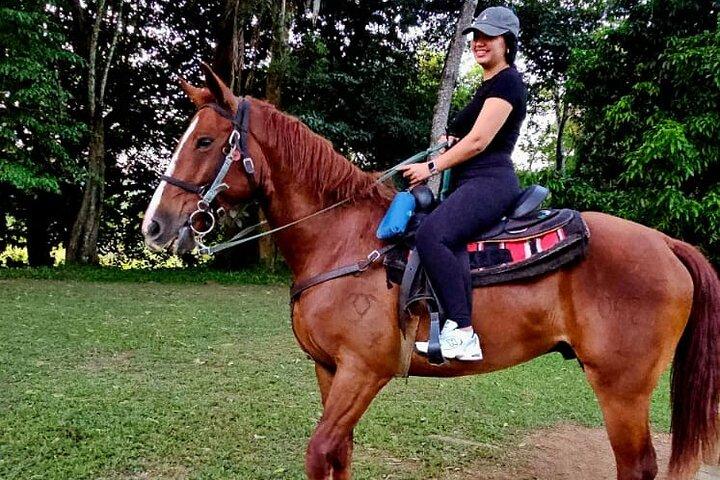 Cruise Excursion - Equitação na selva em Belize