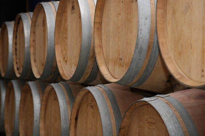 Paphos Tradiciones y Bodegas