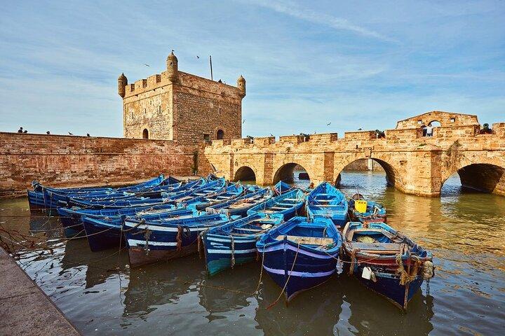 Escursione guidata di un giorno a Essaouira da Agadir
