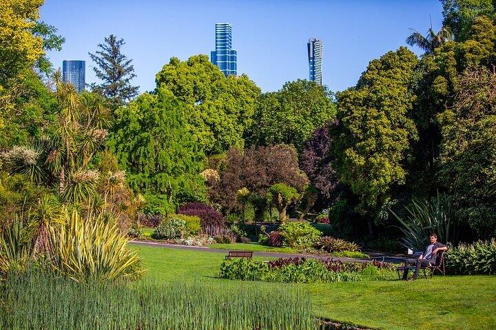 L'explorateur - Melbourne Gardens