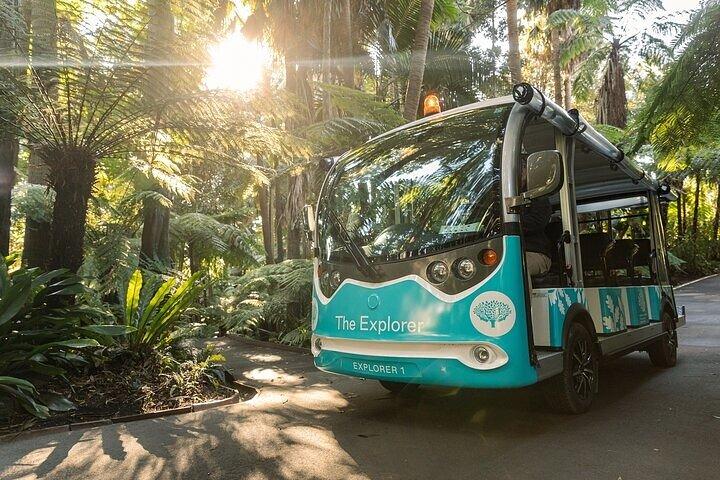 L'explorateur - Melbourne Gardens