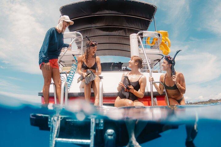 Lana'i Snorkel och Dolphin Quest med Maui Turtle Spot Tour