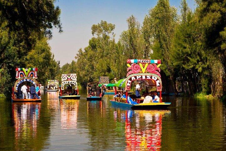 Xochimilco + Museo Anahuacalli (add-on) PET-FRIENDLY