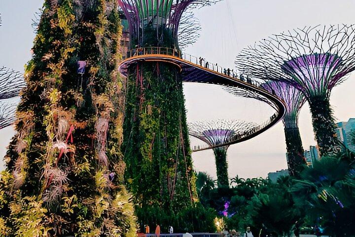 Singapore OCBC Skyway Bloemenkoepel Cloud Forest Garden aan de baai