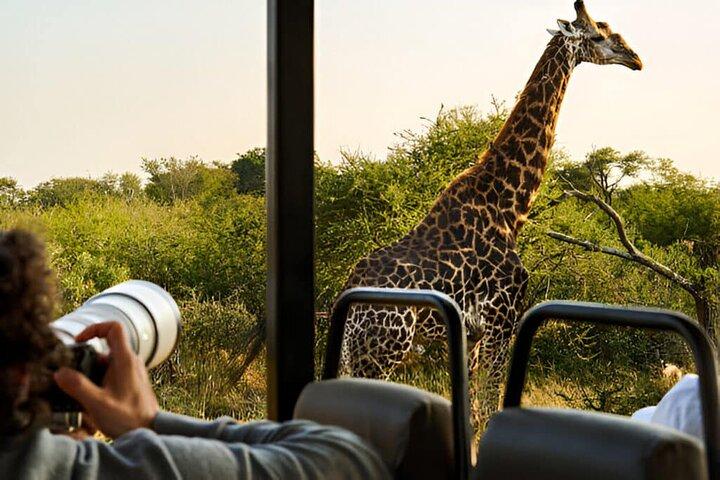 Tour panorámico y safari en glamping por Kruger de 4 días