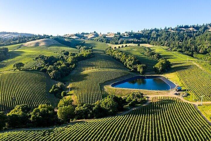 Excursão de Napa e Sonoma Wine Country em pequenos grupos a partir de Cupertino