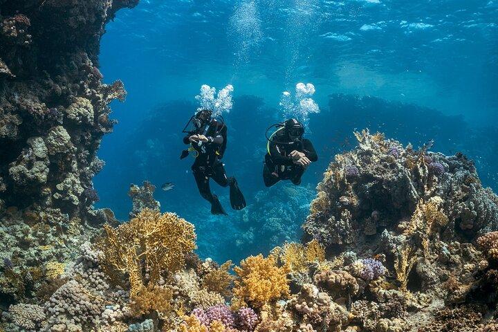 Scuba Adventure (Double Tank) – Reefs, Wrecks & Caves of Paros